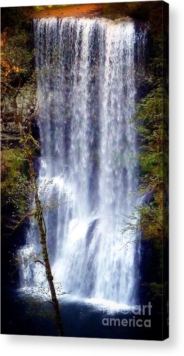 South Waterfall Acrylic Print featuring the photograph Waterfall South by Susan Garren