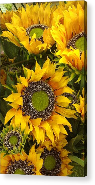 Sunflowers Acrylic Print featuring the photograph Sunflowers by Tim Donovan