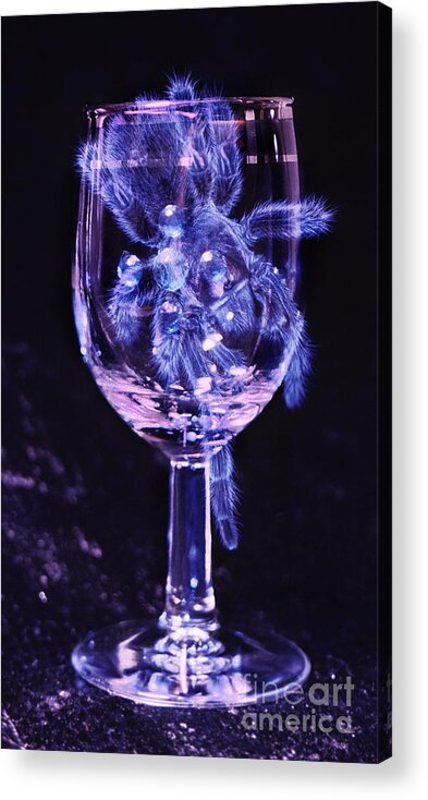 Tarantula Acrylic Print featuring the photograph Tarantula on Wine Goblet by Janeen Wassink Searles