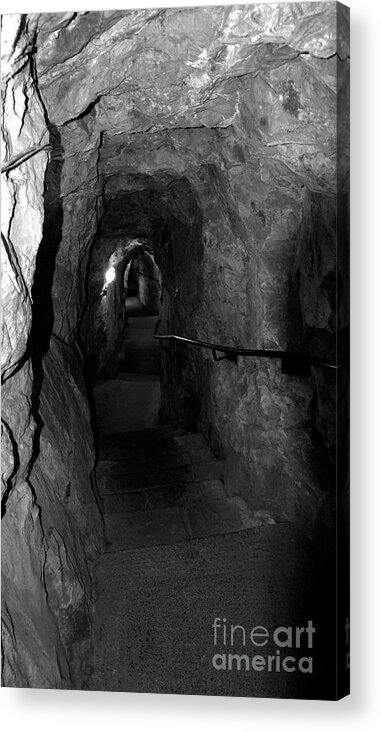 Tunnel Acrylic Print featuring the photograph The Way by Mark Hughes