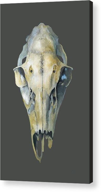 Skull Acrylic Print featuring the painting Deer Skull With Aura #1 by Catherine Twomey