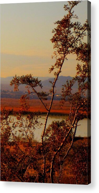 Topock Bay Acrylic Print featuring the photograph Arizona by Lessandra Grimley