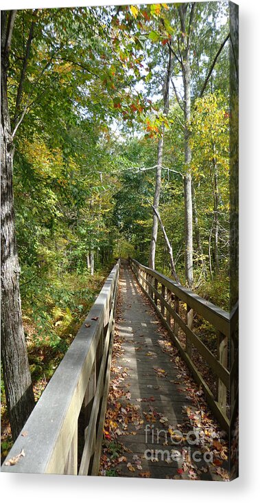  Acrylic Print featuring the photograph The Paths of Arcadia in Autumn #3 by Leslie M Browning