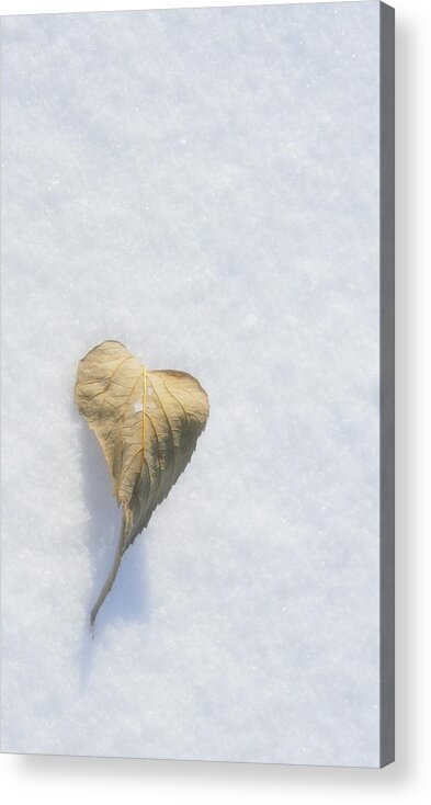 Heart Acrylic Print featuring the photograph A Fading Heart by Julie Lueders 