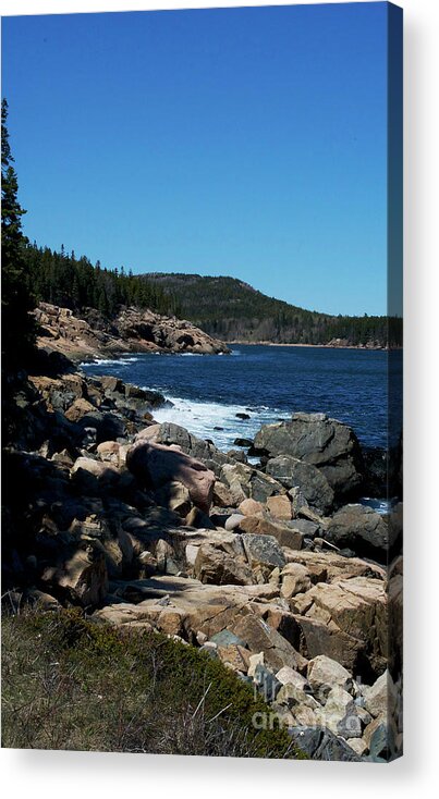 Scenic Tours Acrylic Print featuring the photograph Acadia Coast by Skip Willits