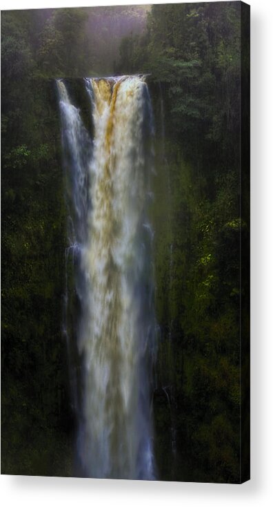 Ellen Heaverlo Acrylic Print featuring the photograph Akaka Falls by Ellen Heaverlo