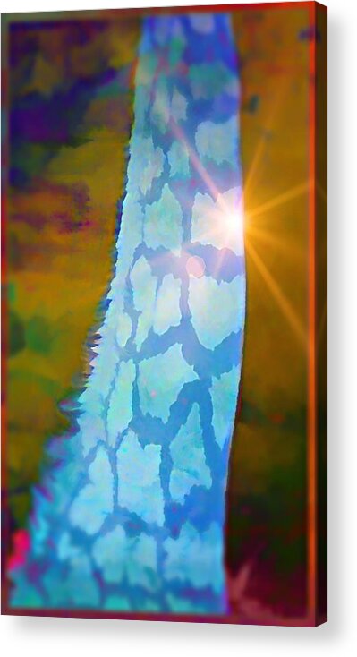 Giraffe Acrylic Print featuring the photograph Blue Giraffe by Mindy Newman