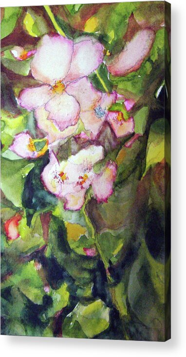 Flower Acrylic Print featuring the painting Darla's Vine by Karen Coggeshall
