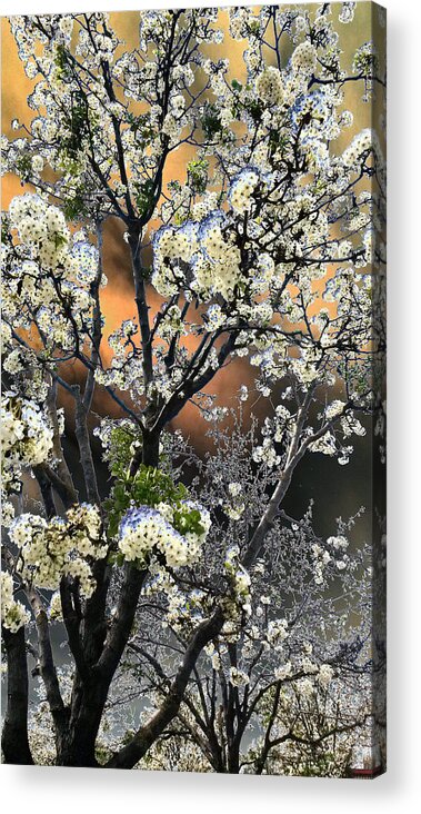 Tree Acrylic Print featuring the digital art Digital Abstract Of Spring Blossoms by Eric Forster
