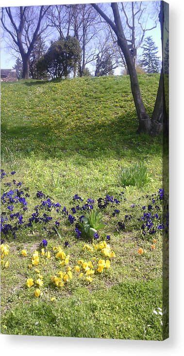 Grass Acrylic Print featuring the photograph Floral details from a park by Anamarija Marinovic