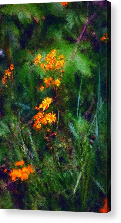 Digital Photography Acrylic Print featuring the digital art Flowers in the Woods at the Haciendia by David Lane