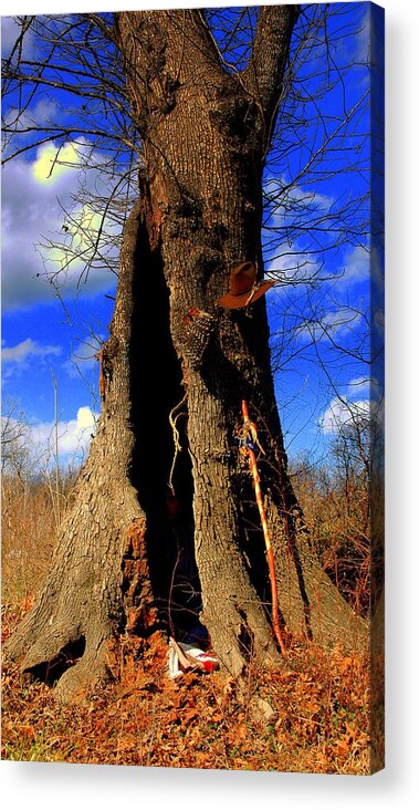 Digital Photography Acrylic Print featuring the photograph Grandfather Tree by Kicking Bear Productions
