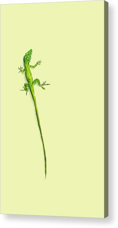 A Green Anole Sits Atop A Field Of Light Green. Part Of A Series Of Sketches For A Short-story About Lizards Acrylic Print featuring the digital art Lizard on green by Thomas Hamm