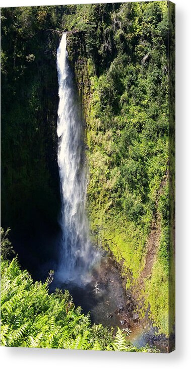 Pamela Walton Acrylic Print featuring the photograph Majestic Akaka Falls by Pamela Walton