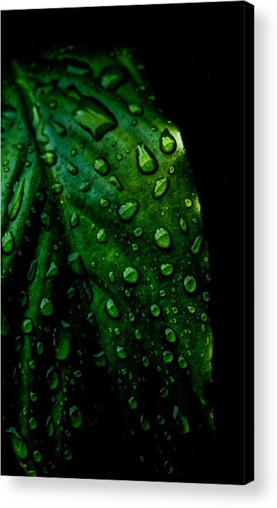 Photographs Acrylic Print featuring the photograph Moody Raindrops by Parker Cunningham