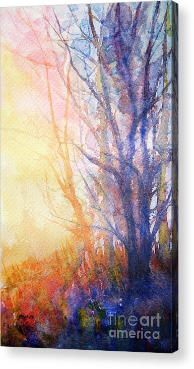 Morning Acrylic Print featuring the painting Morning Glow by Rebecca Davis