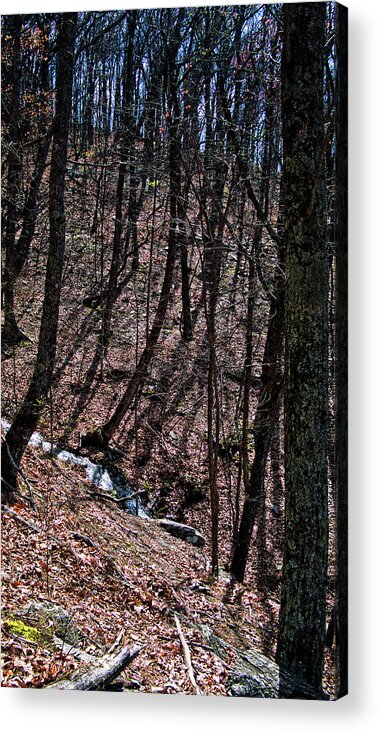 Creek Acrylic Print featuring the photograph Mountain Creek by George Taylor