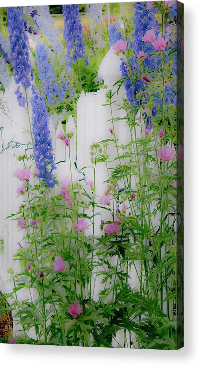 Flowers Acrylic Print featuring the photograph On the Fence by Jeff Cooper