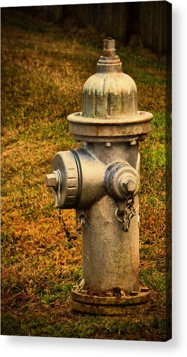 Ine Art Prints Acrylic Print featuring the photograph Painted Fireplug by Dave Bosse