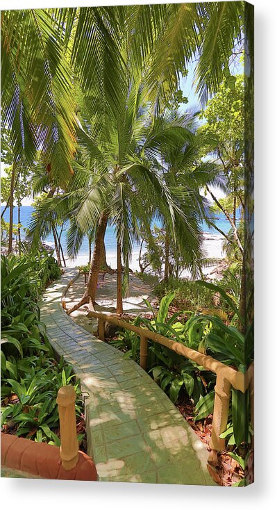 Costa Rica Acrylic Print featuring the photograph Path to Paradise by Dillon Kalkhurst