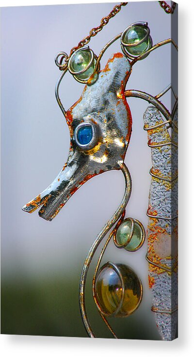 Seahorse Acrylic Print featuring the photograph Rusted Seahorse by Frank Mari