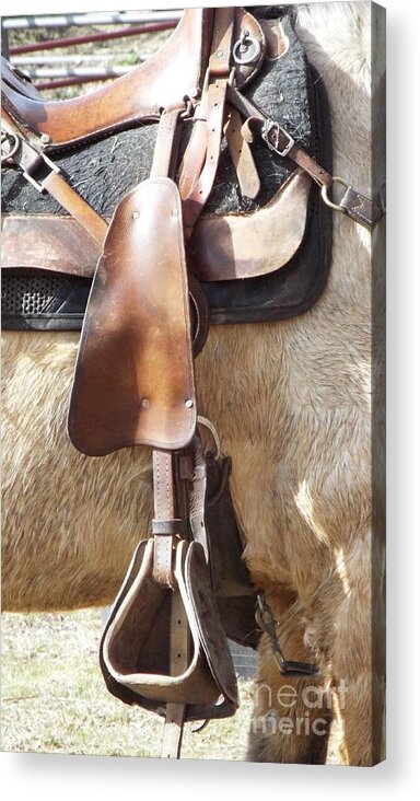 Horse Acrylic Print featuring the photograph Trail Tack by Caryl J Bohn
