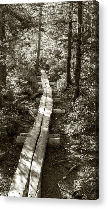 Path Acrylic Print featuring the photograph Walk With Me by Holly Ross