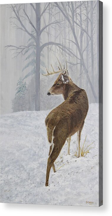 North American Wildlife Acrylic Print featuring the painting Winter Coat Buck by Johanna Lerwick