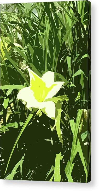 Flower Acrylic Print featuring the digital art Yellow Flower At Starbucks by Eric Forster