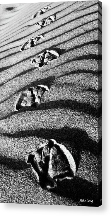 Beach Acrylic Print featuring the photograph Follow Me by Mike Long