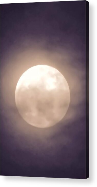 Arizona Acrylic Print featuring the photograph Leo Indigo-Blue Super Moon by Judy Kennedy