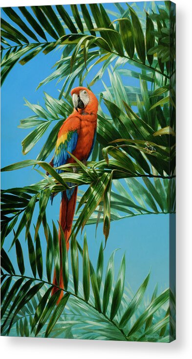 Macaw Acrylic Print featuring the photograph Scarlet Macaw 1 by Michael Jackson