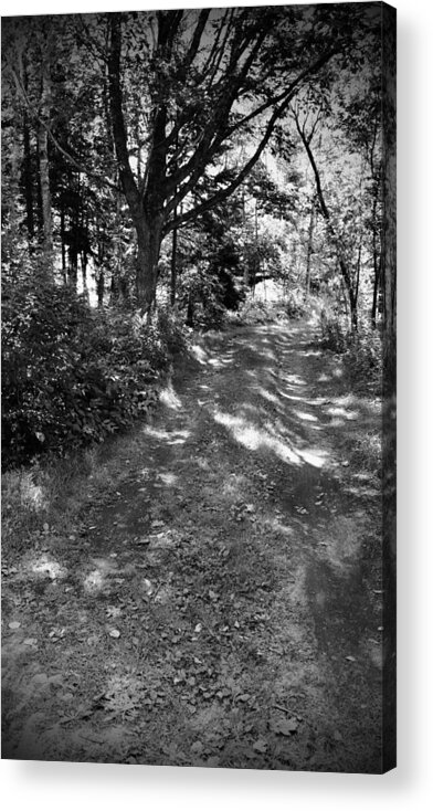 Dirt Road Acrylic Print featuring the photograph Sunspots on a Dirt Road by Debra Grace Addison