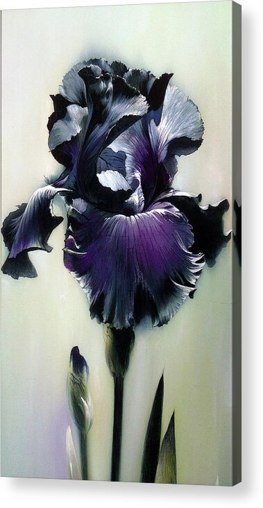 Russian Artists New Wave Acrylic Print featuring the painting The Night. Black Iris Fragment by Alina Oseeva
