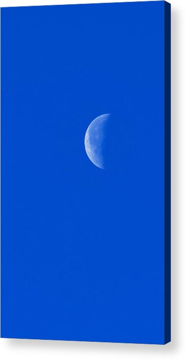 Wild Acrylic Print featuring the photograph Clear Half Moon in Aquarius by Judy Kennedy