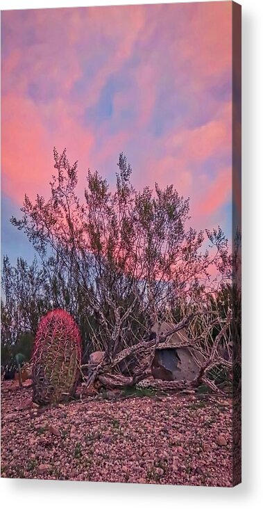 Pink Skies Acrylic Print featuring the photograph Desert Tranquility by Judy Kennedy