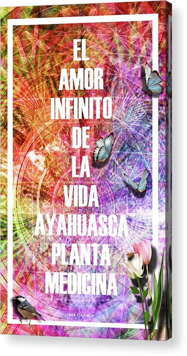 Inspiración Acrylic Print featuring the photograph El Amor Infinito De La Vida by J U A N - O A X A C A