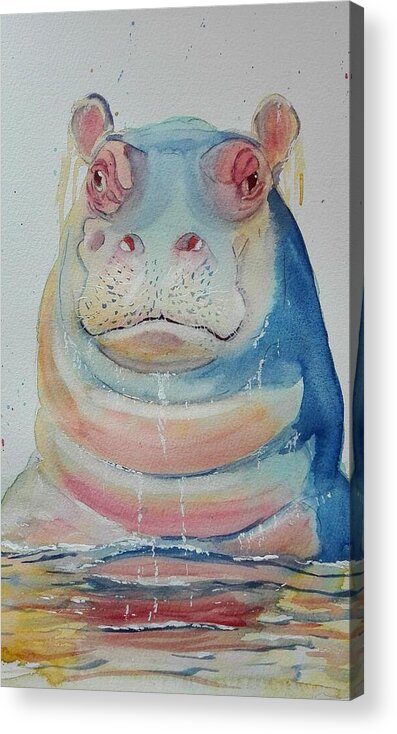 Hippo Acrylic Print featuring the painting Funky Hippo by Sandie Croft