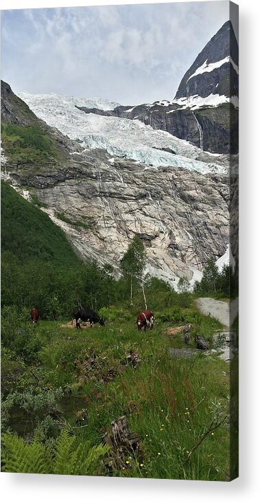 Glacier Acrylic Print featuring the photograph glacier Norway Norvege by Joelle Philibert