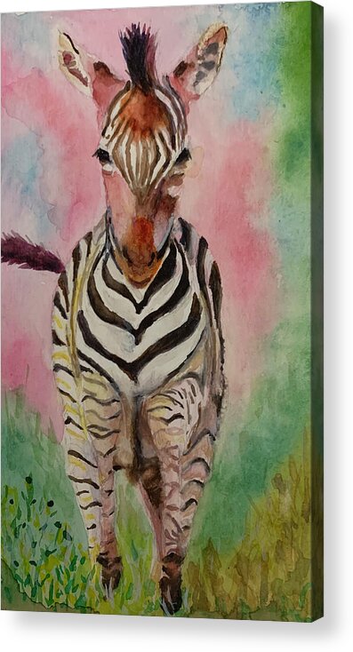 Zebra Acrylic Print featuring the painting Going Places by Tracy Hutchinson