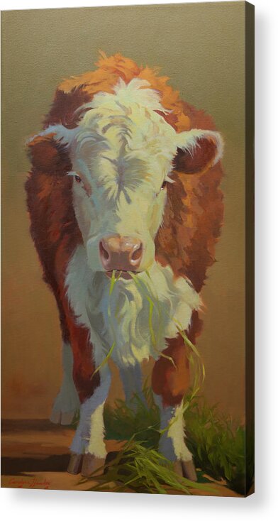 Farm Animals Acrylic Print featuring the painting Just a Little Bull by Carolyne Hawley