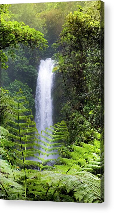 Waterfalls Acrylic Print featuring the photograph To Cleanse The Soul by Karen Wiles