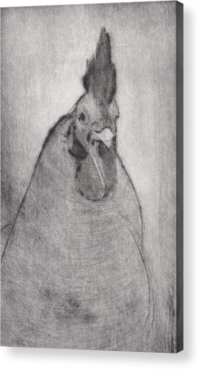 Rooster Acrylic Print featuring the drawing Lord Ribblesday - etching by David Ladmore