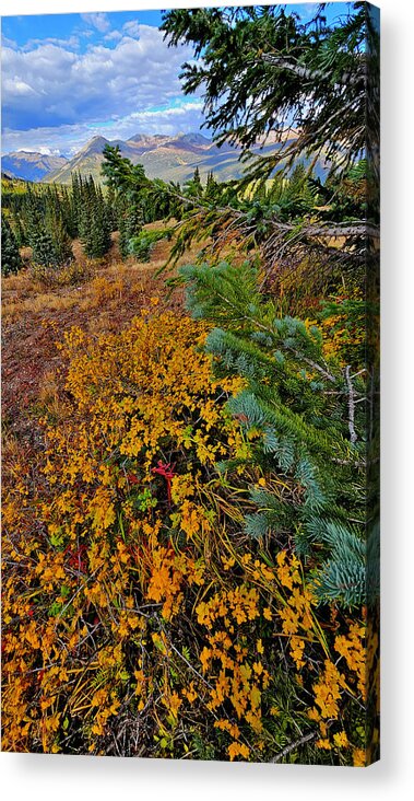 Colorado Acrylic Print featuring the photograph Molas Pass Fall Colors by Ray Mathis