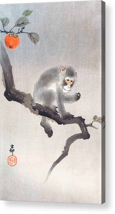 Ohara Koson Acrylic Print featuring the painting Monkey in cockatoo by Ohara Koson by Mango Art