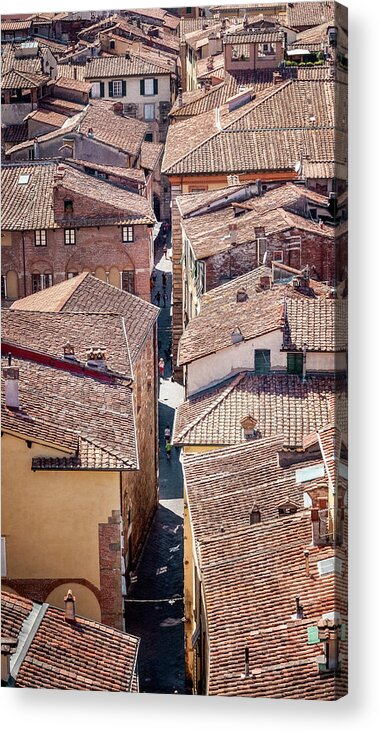2015 Acrylic Print featuring the photograph Rooftops of the city of Lucca in Tuscany by Benoit Bruchez