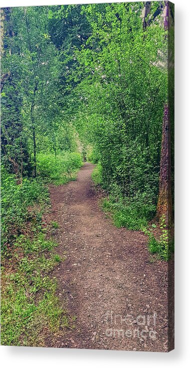 Hopwood Hall Acrylic Print featuring the photograph The path less walked Hopwood Nature Reserve UK by Pics By Tony