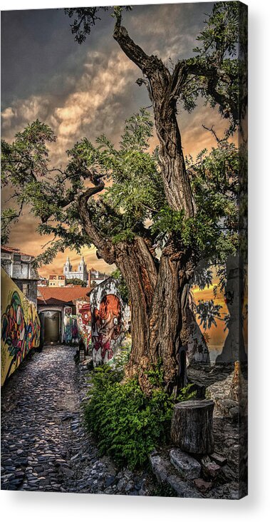 Lisbon Acrylic Print featuring the photograph Walking in history's footsteps by Micah Offman