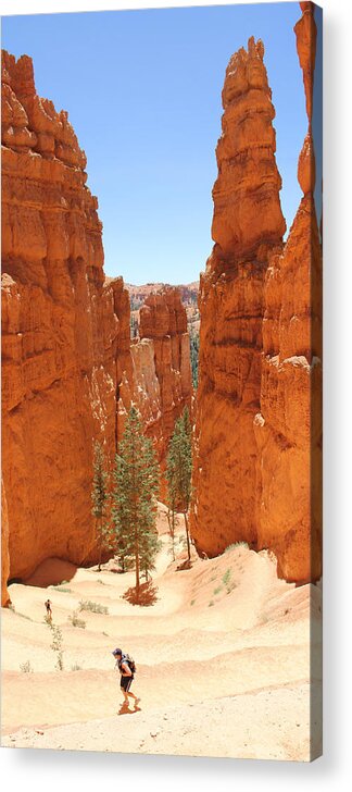 Southwest Acrylic Print featuring the photograph A Long Way to the Top by Mike McGlothlen