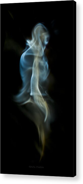 Ignition Acrylic Print featuring the photograph Bipedal by Steven Poulton